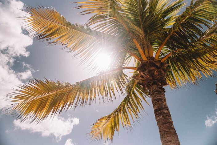 Vitamine D Vitamine D