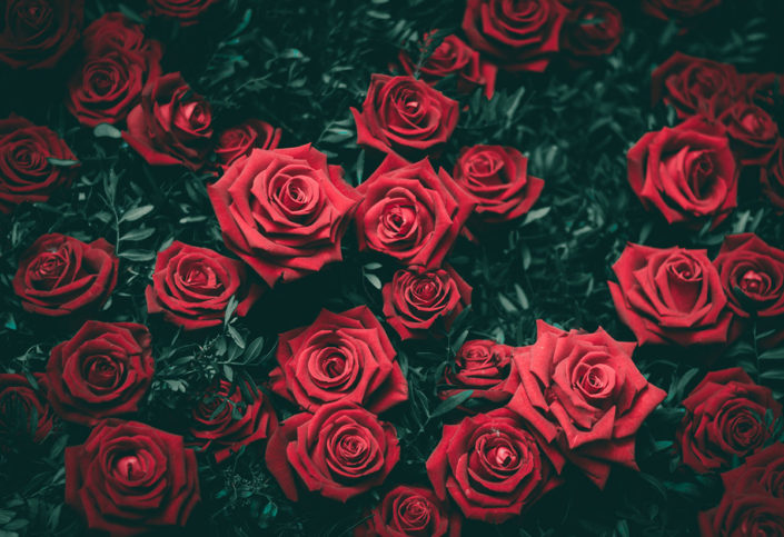 Bloemen eten Bloemen eten