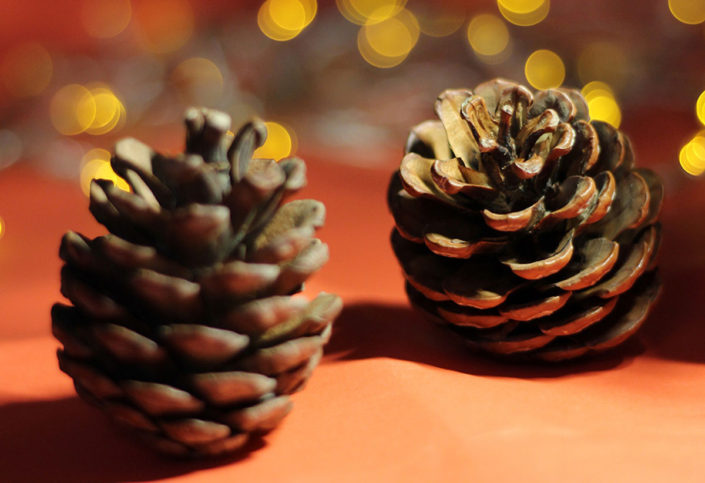 DIY Dennenappels DIY Dennenappels