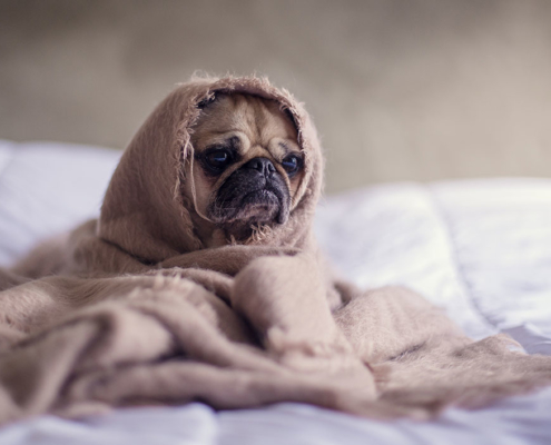 Verwarming