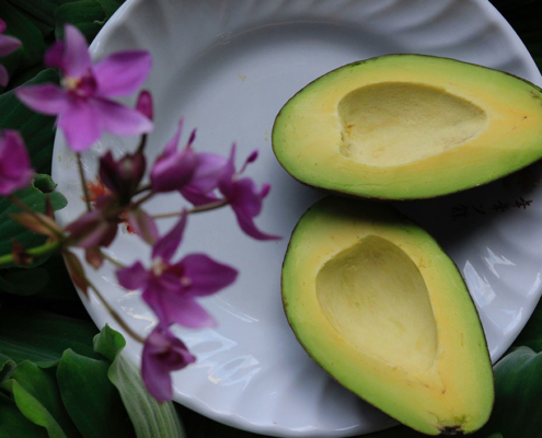 Avocado gezond