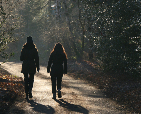 Gezondheidsvoordelen Wandelen